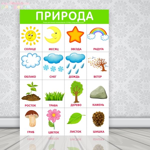 Карточки природа для детей