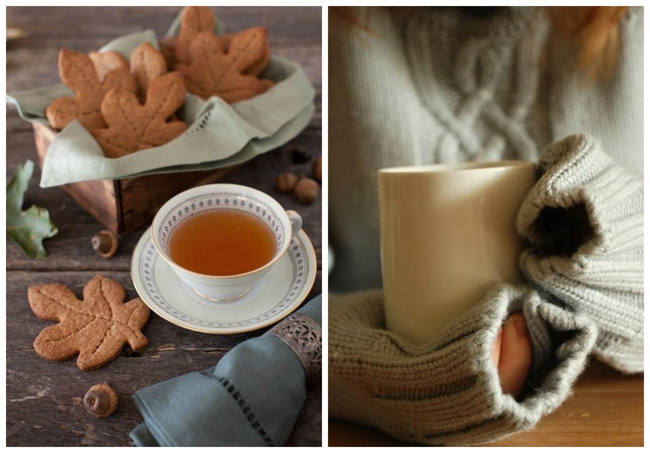 Книга холодное утро. Осеннее чаепитие. Чай осень уют. Уютная чашка. Уютные картинки.