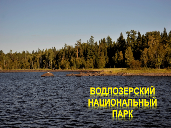 Водлозеро национальный парк