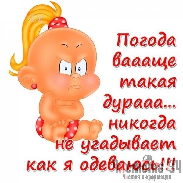 Картинки про погоду прикольные с надписями