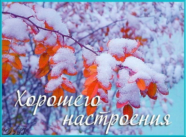 С добрым ноябрьским утром нежные