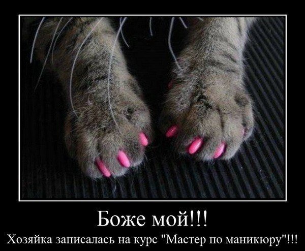 Антицарапки для кошек