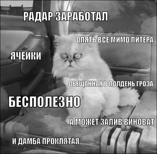 Питер погода юмор