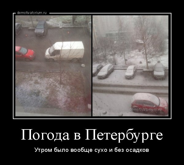 Погода в СПБ мемы
