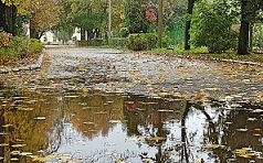 Мокрый осенний парк