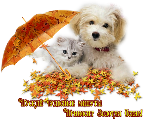 Счастливой осени