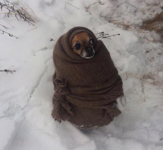 Зима скоро закончится