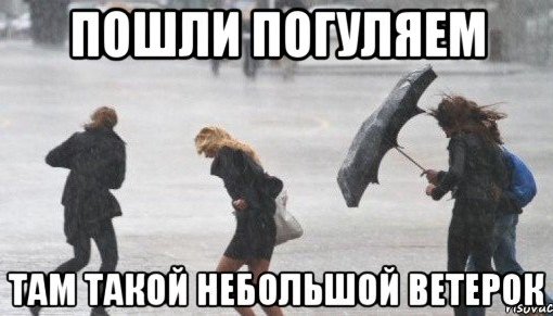 Сильный ветер прикол