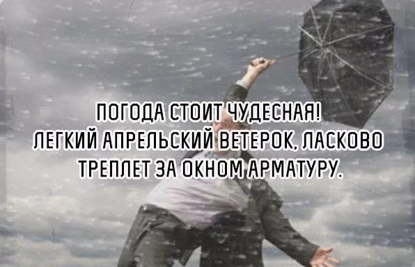 Смешные фразы про сильный ветр