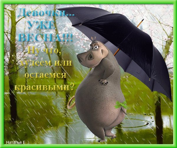 Открытка в дождливую погоду для поднятия настроения