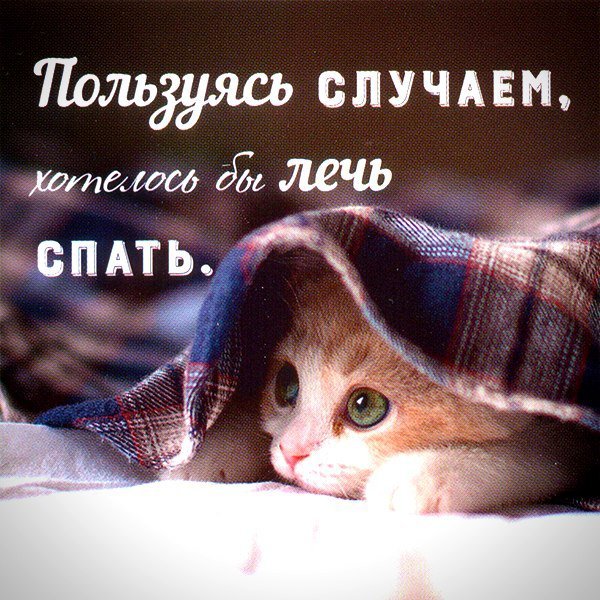 Я спать спокойной ночи