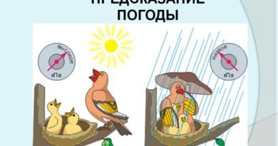 Атмосферное давление в живой природе рисунок