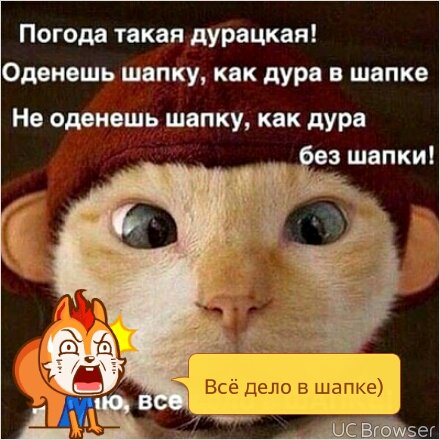 Погода такая дурацкая оденешь шапку