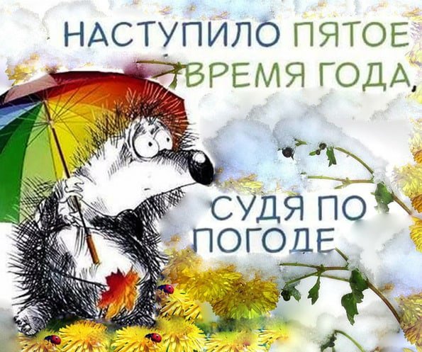 Судя по погоде