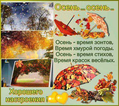 Стихотворение о осеннем зонте