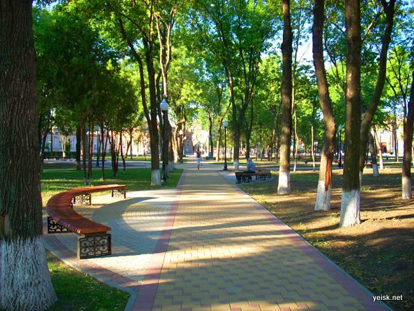 Аллея Поддубного Ейск