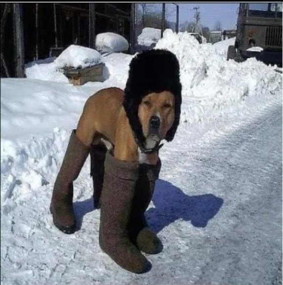 Шутки про холод