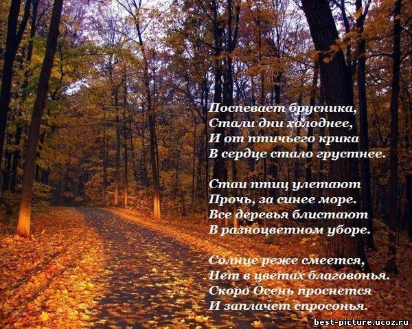 Осенние пейзажи со стихами