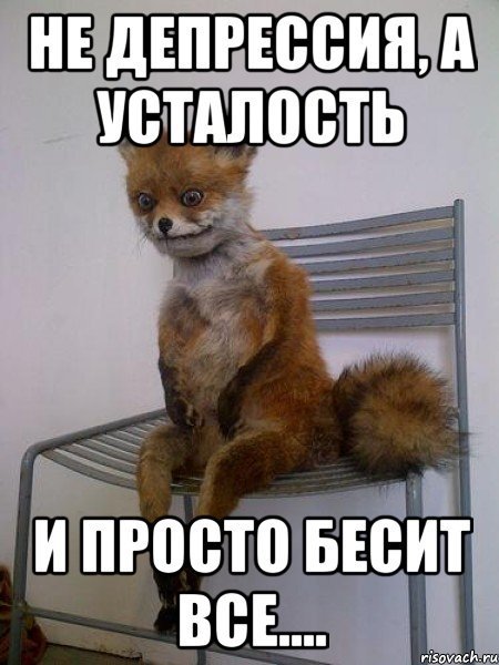 Лиса в депрессии