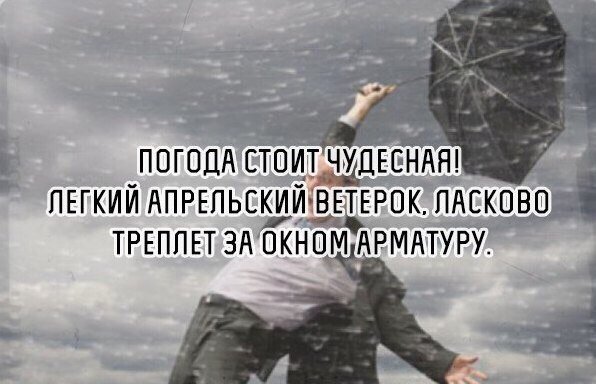 Смешные фразы про сильный ветр