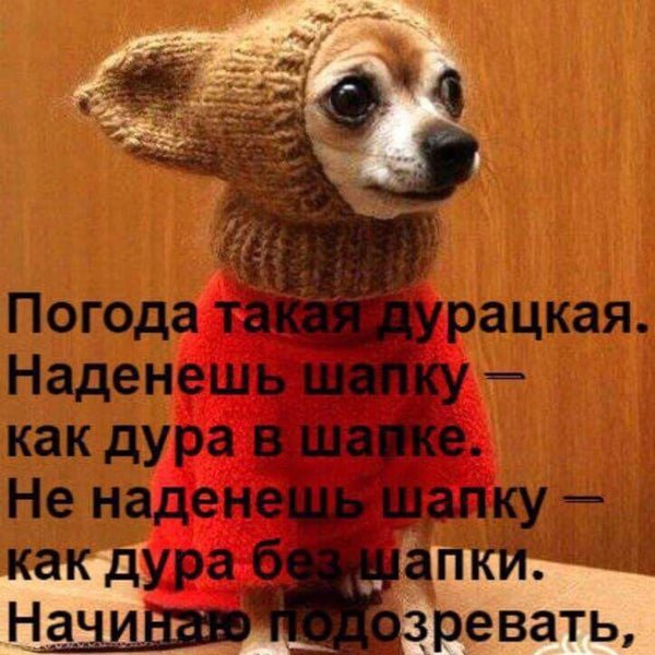 Погода дурацкая наденешь шапку