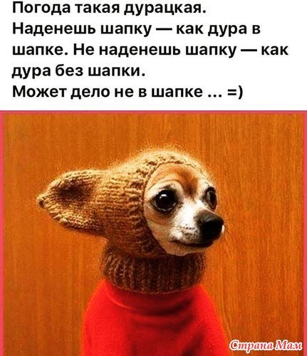 Юмор Одень шапку