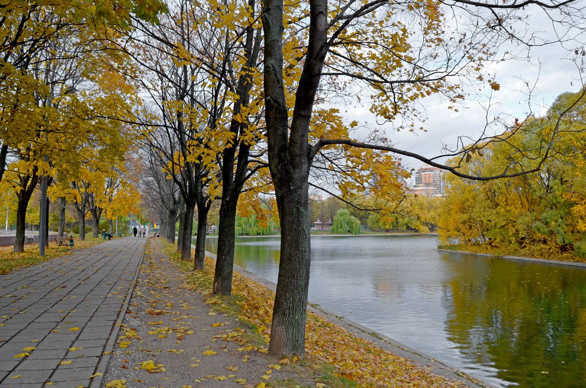 Октябрь В Парке Фото