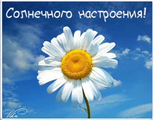 Солнечного дня и настроения
