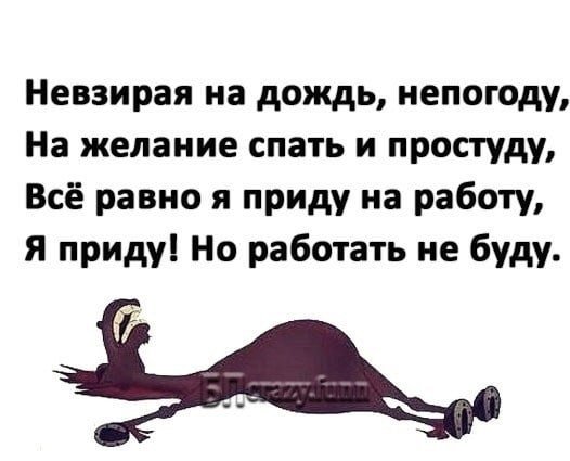 Невзирая на дождь