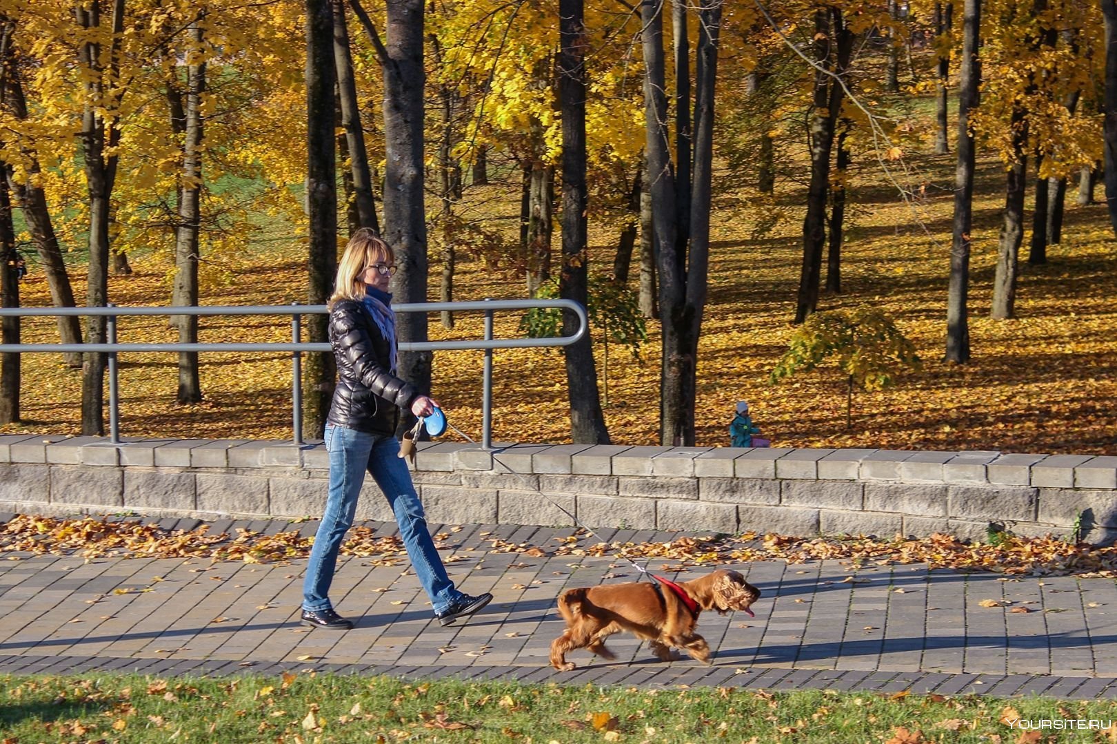 Гуляю в 4 утра. Прогулка с собакой в парке. Осенняя прогулка. Фотосессия прогулка с собакой. Фотосессия прогулка в парке.