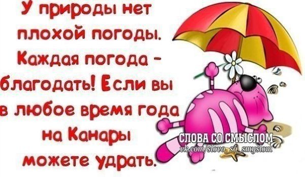 У природы нет плохой погоды