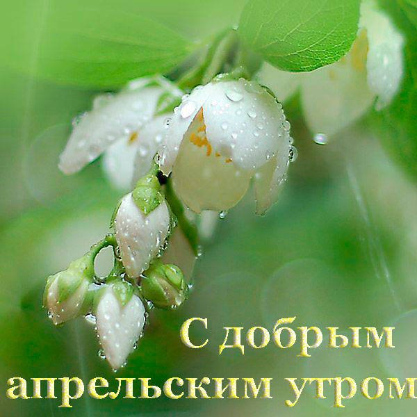 С добрым апрельским утром