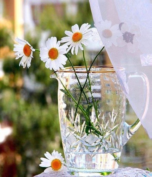 Ромашки на окне с дождём