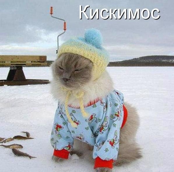 Одеваемся потеплее прикольные
