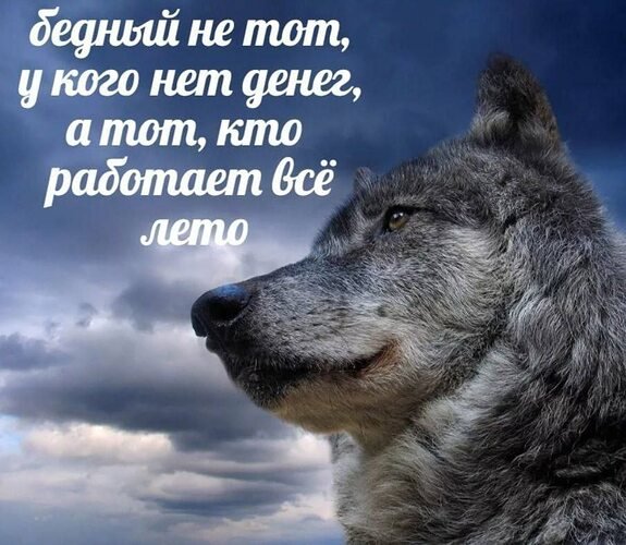 Картинки хорошая погода высказывания (64 фото)