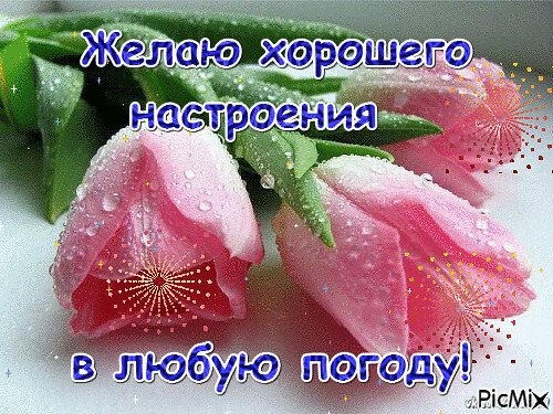 Хорошего настроения в любую погоду