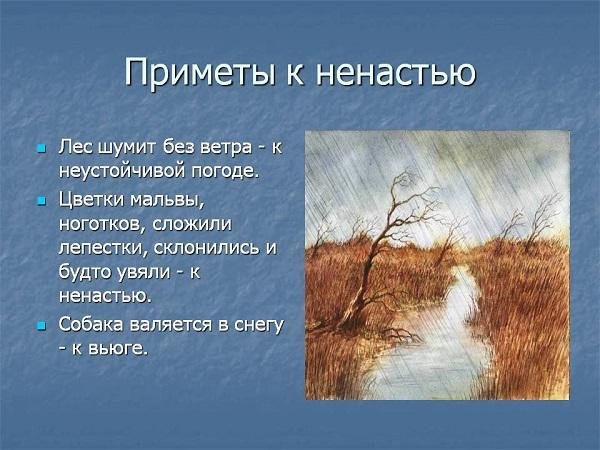 Приметы к ненастью
