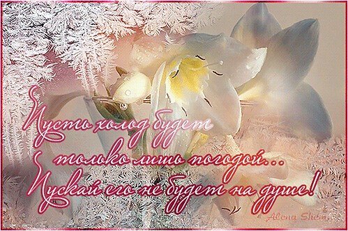 Пусть холод будет лишь погодой и пусть его не будет на душе