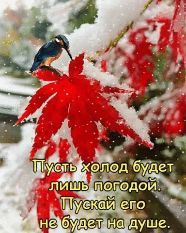 Хорошей погоды в душе