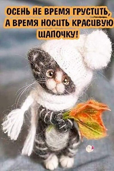 Осень не повод грустить