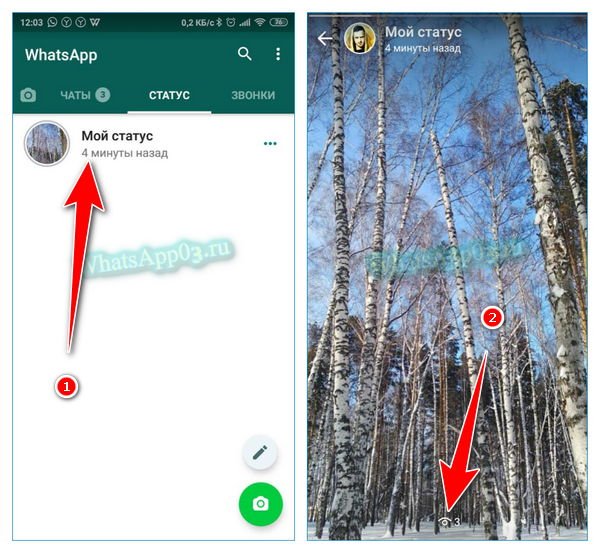 Как посмотреть кто просматривал статус в вацапе