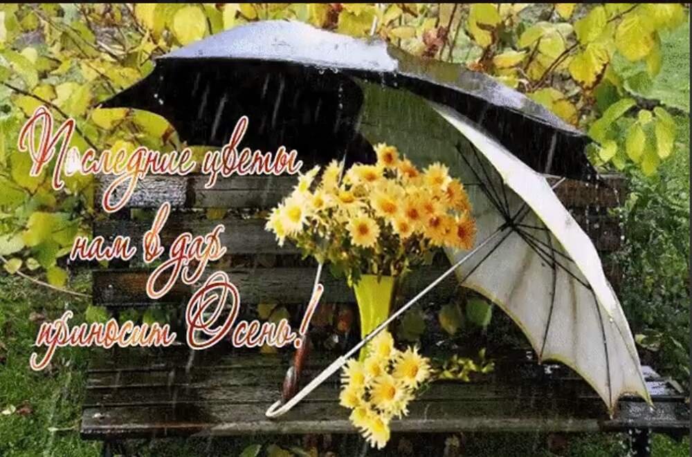 Солнце в любую погоду. Хорошего настроения в дождливую осень. Отличного настроения в дождливый день. Приятные пожелания в дождливый день. Хорошего дня и настроения в дождливую погоду.