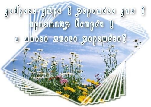 Хорошего летнего дня несмотря на погоду