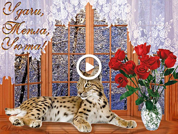 Доброго дня тепла и уюта