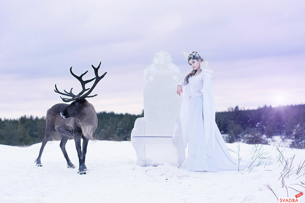 Снежная королева на олене. Снежная Королева Атманов Северный олень. Олень из снега. Фотосессия в стиле оленя. Олень в снежной Королеве.