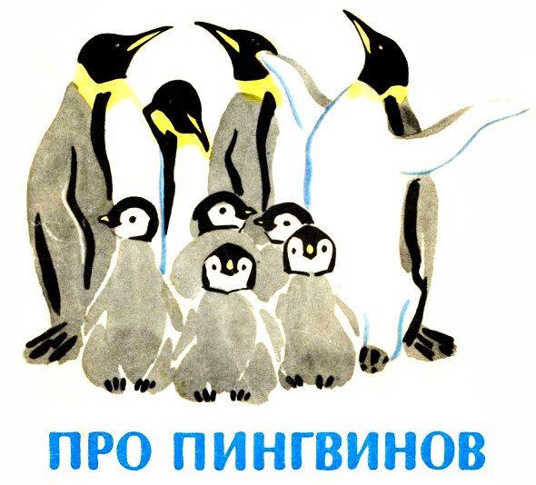 Снегирев про пингвинов