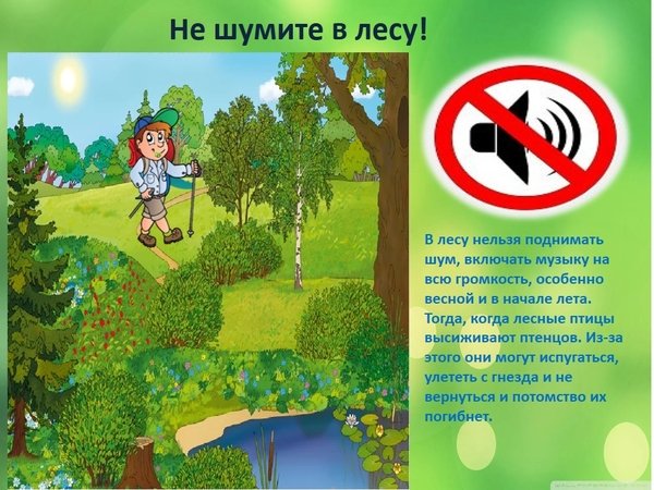 Знак нельзя шуметь в лесу