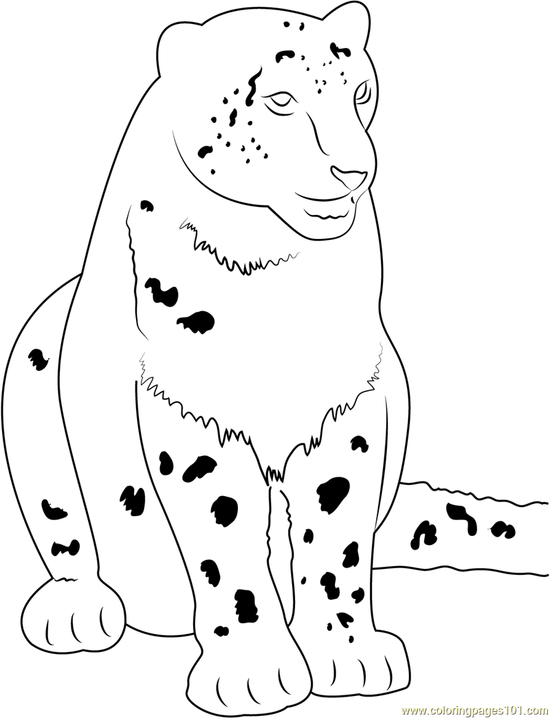 Дальневосточный леопард рисунок для детей