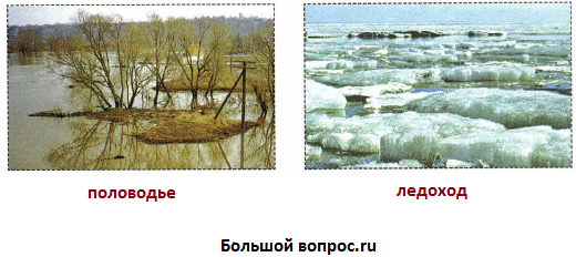 Ледоход окружающий мир