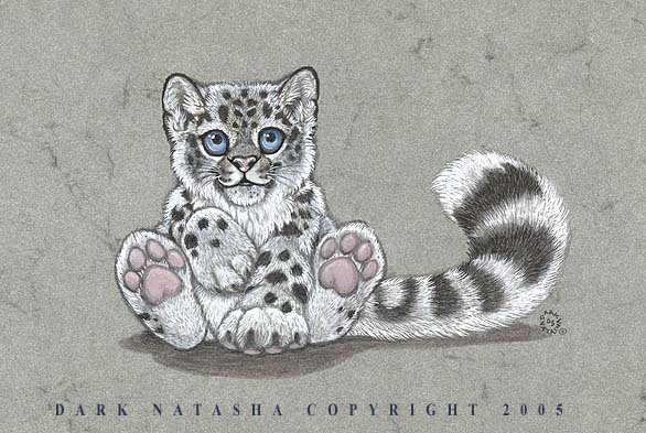 Снежный Барс котенок рисунок